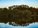 Lake shore with reflection in the water - Brzeg Jeziora z odbiciem w wodzie